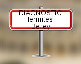Diagnostic Termite AC Environnement  à Belley